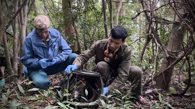 Mehr als 5.000 Tierfallen im Bach-Ma-Nationalpark entfernt