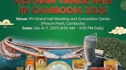 Η An Giang εγκαινιάζει ψηφιακό περίπτερο στην Εμπορική Έκθεση Βιετνάμ - Καμπότζης 2025