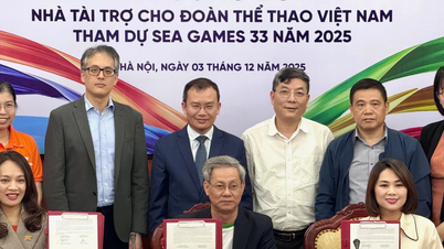 Die vietnamesische Sportdelegation erhielt vor ihrer Abreise nach Thailand zu den SEA Games 33 gute Nachrichten.