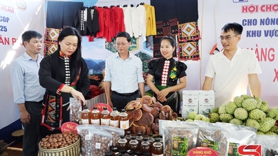 Az export előmozdítása, a Son La mezőgazdasági termékeinek értékének megerősítése