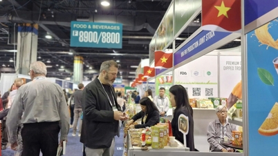 Unterstützung von Unternehmen der Lebensmittelindustrie beim Zugang zum US-Markt