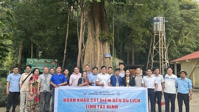 Fortalecimento das trocas, melhoria da eficácia da gestão do turismo