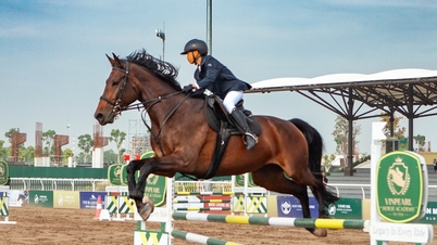 Copa Ecuestre Vinpearl 2025: Un gran avance para el deporte ecuestre vietnamita