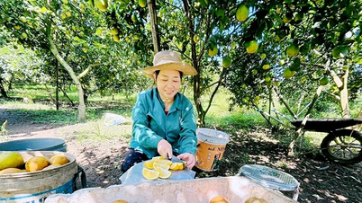 រូបចម្លាក់កសិកម្មភូថូ