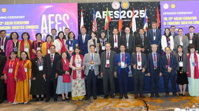 Викладач медичного факультету Університету Дуй Тан здобув перший приз у номінації «Молодий дослідник» на AFES 2025