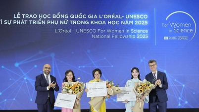 16회 로레알-유네스코 국가 장학금: 여성 과학 발전 부문에서 3명의 얼굴이 수상했습니다.