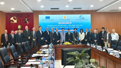 35 år av relationer mellan Vietnam och Europeiska unionen: Framgångar, utmaningar och framtidsutsikter