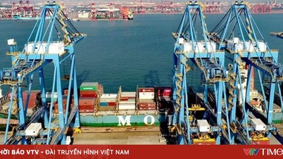 De Verenigde Naties voorspellen een vertraging van de wereldwijde groei.