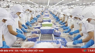 Export van landbouw-, bosbouw- en visserijproducten overtreft in 11 maanden het record van 2024