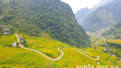 تتجه الزراعة نحو التكنولوجيا النظيفة والعضوية والمتقدمة