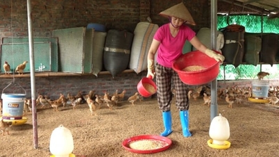 Quang Ninh: Muchos modelos de vinculación productiva promueven la eficiencia