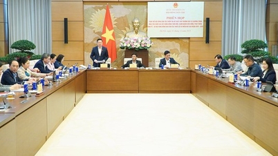 통합 국가 목표 프로그램은 광범위한 투자를 피하기 위해 새로운 기준에 따라 빈곤한 공동체, 불리한 공동체, 특히 불리한 공동체를 명확히 구분해야 합니다.