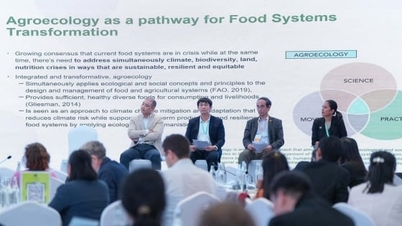 TARASA25: Προώθηση της οικολογικής γεωργίας στην περιοχή Ασίας-Ειρηνικού