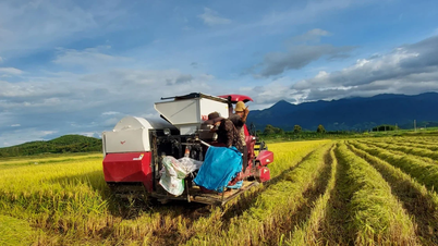 डाक लाक: सामूहिक अर्थव्यवस्था और सहकारी समितियाँ जातीय अल्पसंख्यकों को स्थायी रूप से विकसित होने में मदद करती हैं