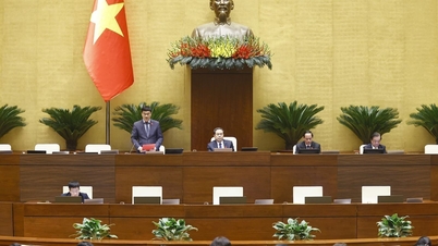 Podstawową polityką jest integracja trzech krajowych programów docelowych.