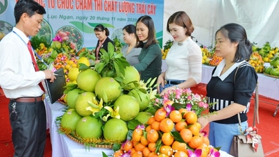 Bac Ninh está prestes a sediar um Festival de Frutas em grande escala em 2025.