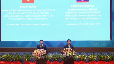 حقق الاجتماع الثامن والأربعون للجنة الحكومية الدولية بين فيتنام ولاوس العديد من النتائج المهمة والعملية.