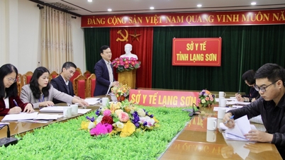 タバコ被害防止基金の作業部会がランソンで監督