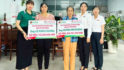 חברת הביטוח אגריבנק קין גיאנג משלמת תגמולי ביטוח אשראי בסך למעלה מ-306.7 מיליון דונג וייטנאמי