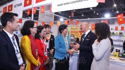 O Vietnã reafirma seu potencial na cadeia de suprimentos Halal global.