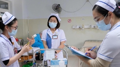 दा नांग चिकित्सा इकाइयाँ 2025 में व्यावसायिक कौशल प्रतियोगिता का आयोजन करेंगी