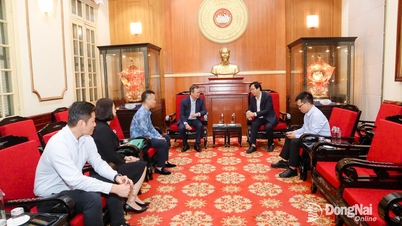 33वें एसईए खेलों में भाग लेने वाला वियतनामी खेल प्रतिनिधिमंडल उन प्रांतों के लोगों की सहायता कर रहा है, जिन्हें तूफान और बाढ़ के कारण भारी नुकसान हुआ है।