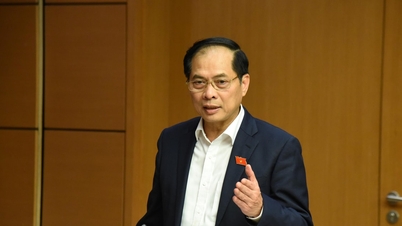 Decentralisatie en delegatie van bevoegdheden voor een effectieve lokale uitvoering