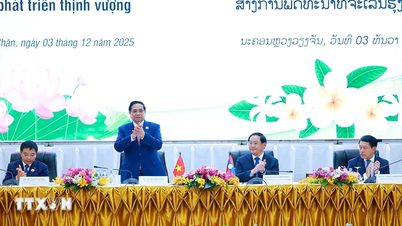 Pertemuan Komite Antarpemerintah Vietnam-Laos mencapai banyak hasil penting dan praktis.