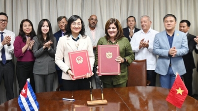 Vietnam dan Kuba gelar pertemuan pertama untuk meninjau implementasi perjanjian perdagangan bilateral