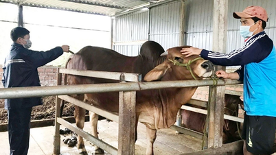 A falta de instalações veterinárias aumenta as preocupações dos agricultores.