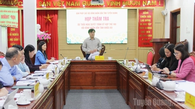 Komite Hukum Dewan Rakyat Provinsi meninjau rancangan resolusi yang diajukan ke sidang kedua.