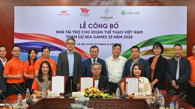 Businesses 'pour' billions of dong to sponsor the Vietnamese delegation at SEA Games 33
