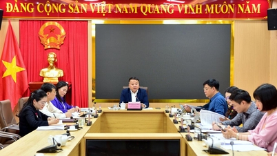 Tinjau Komite Tetap Komite Partai Provinsi untuk memastikan kejujuran, objektivitas, dan refleksi realitas yang akurat.