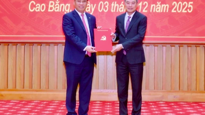 Mr. Phan Thang An was appointed Secretary of Cao Bang Provincial Party Committee.