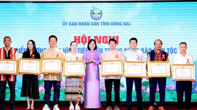 Dong Nai: Homenageando 158 minorias étnicas avançadas típicas