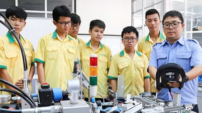 Ho Chi Minh City plans to have 19 public colleges and 37 vocational high schools.