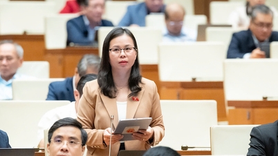 مفارقة التعليم المجاني، حيث ترتفع التكلفة الإجمالية للتعليم لكل أسرة