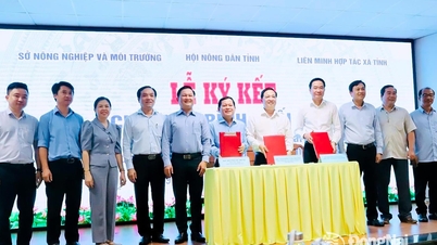 Asosiasi Petani Provinsi menandatangani perjanjian tentang pengembangan ekonomi kolektif dan pembangunan pedesaan.