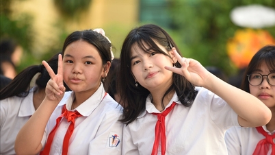 El Ministerio de Educación y Formación exige que la ordenación de los jardines de infancia y las escuelas primarias esté concluida antes del 31 de diciembre.