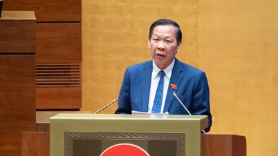 東西経済回廊とヴィン・タントゥイルートの輸送ニーズの明確化