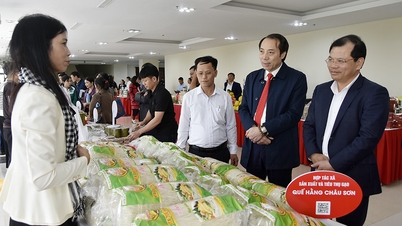 Fortsätta stödja kooperativ i att tillämpa teknik och digital transformation inom ledning och produktion.