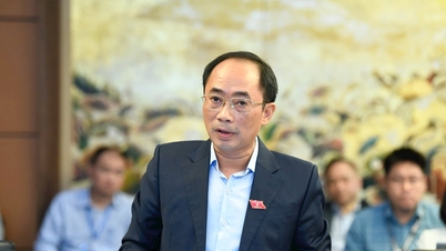 Ulusal Meclis Delegesi Le Nhat Thanh (Hanoi): Kaynakların dağılması ve politika örtüşmesi durumunun üstesinden gelinmesi