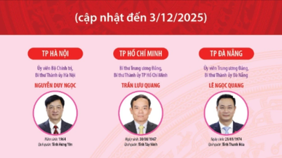 34 Setiausaha Jawatankuasa Parti Wilayah dan Perbandaran untuk penggal 2025-2030 (dikemas kini kepada 3 Disember 2025)
