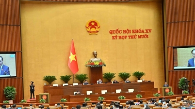 Mekanizmaların değiştirilmesi ve desteklenmesi Da Nang için gerçek bir atılım olmalı.