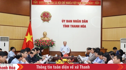 Întâlnire pentru evaluarea implementării Programelor Naționale Țintă în provincia Thanh Hoa