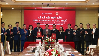 Агрібанк та Податкове управління співпрацюють, щоб допомогти домогосподарствам-підприємцям перейти на податкове декларування