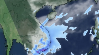 Реагування на сильні дощі в Центрально-Центральному регіоні