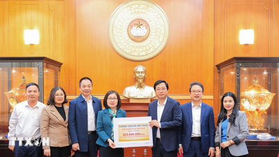 वीएनए मध्य और मध्य हाइलैंड्स क्षेत्रों में लोगों को तूफानों और बाढ़ के परिणामों से उबरने में सहायता प्रदान करना जारी रखे हुए है