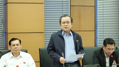 হো চি মিন সিটির জন্য অসামান্য প্রাতিষ্ঠানিক কাঠামো নিখুঁত করা