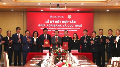 "أجريبانك" يتعاون مع قطاع الضرائب لتسريع دعم الأسر التجارية للتحول